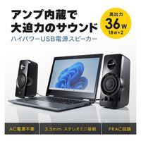サンワサプライ ハイパワーUSB電源スピーカー MM-SPL19UBK 1個（直送品）
