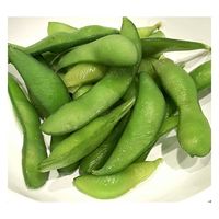 ミホウジャパン 塩茹で枝豆 4513896001328 500G×20袋（直送品）