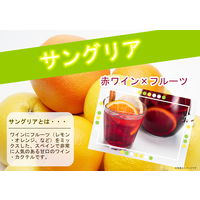 スペイン コンパイサングリア　赤ワインベース　甘口 750ml 1本　日本酒類販売