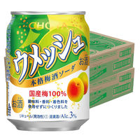 チューハイ 酎ハイ CHOYA チョーヤ ウメッシュ 3％本格梅酒ソーダ 250ml 2ケース（48本）