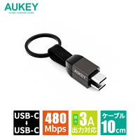 USB Type-Cケーブル 0.1m 持ち運び特化 - USB（C）[オス] CB-CC16-BK 1個