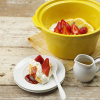 アルファックス・コイズミ DELISHKITCHEN コトコト煮込みシェフ ASCー22D/Y 1台