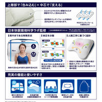 昭和西川 ギガ枕EX 23-0180-019 1箱（直送品）