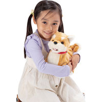 イワヤ 部屋ともワンちゃん柴犬 23-0300-081 1箱（直送品）