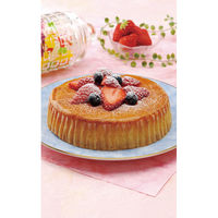 はやし物産 【3箱セット】セレブコレクション　チーズケーキ 23-7362-032（直送品）