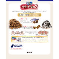 銀のスプーン 国産生かつおin 海の幸ブレンド 1.05kg（小分けパック3袋入）1袋 キャットフード 猫 ドライ