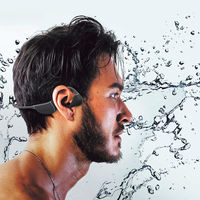 ロア・インターナショナル HACRAY SeaHorse 骨伝導イヤホン 23-0034-098 1箱（直送品）