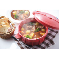 マイヤージャパン マイヤー 電子レンジ圧力鍋 23-0479-015 1箱（直送品）