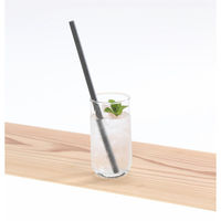 エピオス 【10袋セット】バンブーファイバーエコストロー 23-0578-048（直送品）