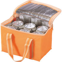 エピオス 【10袋セット】ソロア　保冷温バッグ 23-3318-101（直送品）