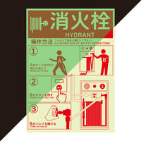 セーフラン安全用品 消火栓操作方法蓄光ステッカー 178x254mm J2548-SS 1枚（直送品）