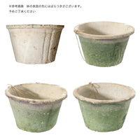 コントン ヤマテー モスポット スタンダード アンティークホワイト M 6号鉢 282736 1個（直送品）