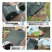 アストロ 園芸用防草シート 1×10m グリーン +ピン12本付き 283900 1個（直送品）