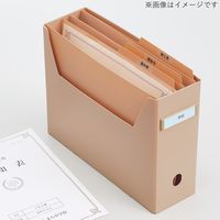 リヒトラブ Roomy 個別フォルダー A4 1山 ピンク F292-12 1組（3枚入）