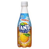 コカ・コーラ ファンタ ひとなつの甘夏 410ml 1セット（48本）