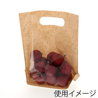 精工 手抜きガゼット袋 紙プラス スタンドパック 40-3 006656087 1袋(100枚)