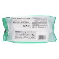 iiもの本舗 流せるトイレクリーナー ミントの香り 4589596693774 1袋(30枚)