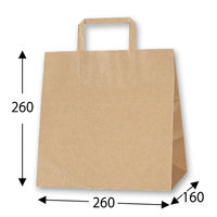 シモジマ H25チャームバッグ E判 未晒無地 003274007 1袋(50枚)