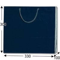 シモジマ ブライトバッグ GM 紫紺10枚入 006137919 1袋(10枚入)