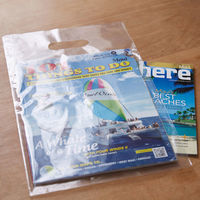 シモジマ パンフレットバッグ A4 クリア 006995376 1袋(50枚)