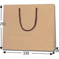 シモジマ カラーチャームバッグ 3才 クラフト 005320116 1束