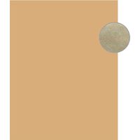 シモジマ クラフト平袋 M 未晒無地 006545900 1束(20枚)