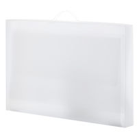 レイメイ藤井 作品ファイル 透明 RS1089T 1個