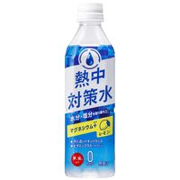 熱中対策水レモン味 500ml 1箱（24本入）
