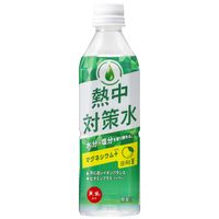 熱中対策水日向夏味 500ml 1セット（48本）