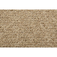 スミノエ ピースカーペット 防ダニ カーペット ルベリー 廊下敷き 880×2000mm ベージュ 4549781296623 1枚（直送品）