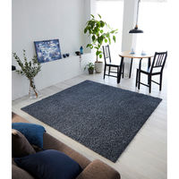 スミノエ BIGSIZERUG アレルブロック ラグ ルーパスラグ 2610×3520mm ネイビー 4549781297866 1枚（直送品）