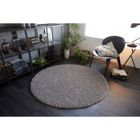 スミノエ BIGSIZERUG アレルブロック ラグ Ｍルーパスラグ 1500×1500mm グレー 4549781297903 1枚（直送品）