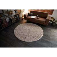 スミノエ BIGSIZERUG アレルブロック ラグ Ｍルーパスラグ 1500×1500mm ベージュ 4549781297880 1枚（直送品）