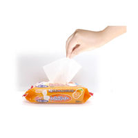 ティー・エイチ・ティー Agオレンジ除菌トイレクリーナー30枚 150126 1セット(40個)