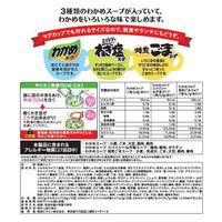 理研ビタミン（株） リケン わかめスープ セレクション 30袋入×3個 4903307628648（直送品）