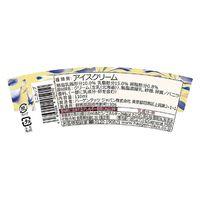 ハーゲンダッツ ジャパン [アイス] ミニカップ バニラ 110ml×36個 4976994205010（直送品）