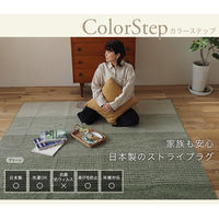 スミノエ 洗えるグラデーションラグ カラーステップ 1300×1800mm グリーン 4549781303093 1枚（直送品）