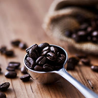 ACROVE ａｎｏｍａ　プロテイン　ヴィーガン　乳糖不耐対応　コーヒー　１５ｇ anoma-coffee-15g 1袋（直送品）