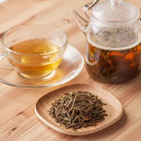 ACROVE ａｎｏｍａ　プロテイン　ヴィーガン　乳糖不耐対応　ほうじ茶　６００ｇ ANOMA-HOJICHA-600-N 1袋（直送品）