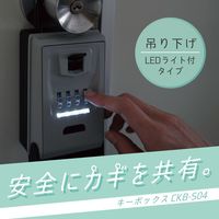 カール事務器 キーボックス(吊り下げタイプLEDライト付き) CKB-S04 1セット(5個)