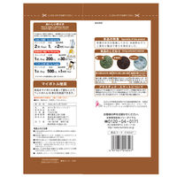 国太楼 水出しほうじ茶ティーバッグ 5袋（50バッグ入×5）