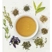 生活の木 私の30日茶 ハッピーノーズブレンド 5袋（7ヶ入×5） ハーブティー（ティーバッグ）