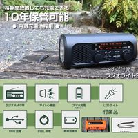 防災ラジオライト ドリテック さすだけ充電ラジオライト3 ブラック PR-323RBK 1台