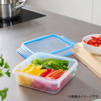 T-fal（ティファール） 保存容器 850ml スクエア マスターシール N10140 1個