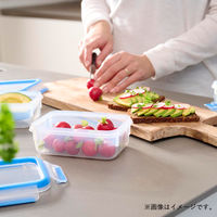 T-fal（ティファール） 保存容器 550ml レクタングル マスターシール N10142 1個