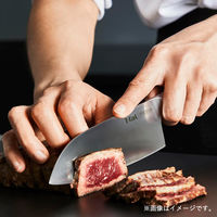 T-fal（ティファール） 三徳 包丁 14.5cm シルバー プレシジョン K27710 1個