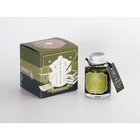 寺西化学工業 ギター 大正浪漫 ハイカラインキ 万年筆用 40ml エモーショナルオリーブ TRH-40ML-T70 1個