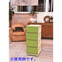 デコニーチェスト 4段 アイボリーグリーン 幅340×奥行415×高さ861mm DCN-4IVGR 1台 JEJ（直送品）