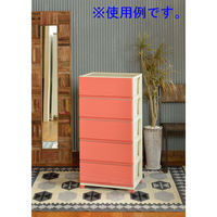 デコニーワイドチェスト 5段 アイボリーピンク 幅540×奥行415×高さ1061mm DCNW-5IVPI 1台 JEJ（直送品）