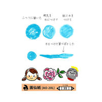 あかしや AO-20L 画仙紙はがき 1セット(10枚×5パック)